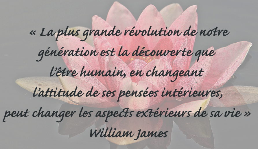 citation2